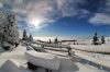 Filename=W29-Velplan-112.jpg
Filesize=146KiB
Dimensions=800x533
Date added=Jan 30, 2010 W29-Velplan-112.jpg