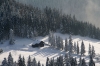 Filename=W41-Velplan-155.jpg
Filesize=180KiB
Dimensions=800x533
Date added=Jan 30, 2010 W41-Velplan-155.jpg