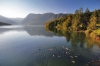 Filename=A029-3Bohinj-89.jpg
Filesize=127KiB
Dimensions=800x533
Date added=Jan 28, 2011 A029-3Bohinj-89.jpg