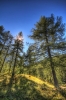 Filename=A040-3Vrsic-18-Hpm.jpg
Filesize=205KiB
Dimensions=480x720
Date added=Jan 28, 2011 A040-3Vrsic-18-Hpm.jpg