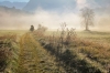 Filename=A093-Bovec-30.jpg
Filesize=189KiB
Dimensions=800x533
Date added=Jan 28, 2011 A093-Bovec-30.jpg