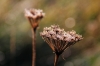 Filename=A094-Bovec-31.jpg
Filesize=116KiB
Dimensions=800x533
Date added=Jan 28, 2011 A094-Bovec-31.jpg