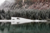 Filename=K09-2Belopeska-32.jpg
Filesize=206KiB
Dimensions=800x533
Date added=Jan 22, 2011 K09-2Belopeska-32.jpg