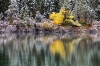 Filename=K13-2Belopeska-26.jpg
Filesize=216KiB
Dimensions=800x533
Date added=Jan 22, 2011 K13-2Belopeska-26.jpg