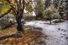 Filename=K14-2Belopeska-45-Hpm.jpg
Filesize=220KiB
Dimensions=800x533
Date added=Jan 22, 2011 K14-2Belopeska-45-Hpm.jpg