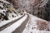Filename=K23-4KrGora-12.jpg
Filesize=258KiB
Dimensions=800x533
Date added=Jan 22, 2011 K23-4KrGora-12.jpg