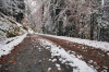 Filename=K24-4KrGora-28.jpg
Filesize=236KiB
Dimensions=800x533
Date added=Jan 22, 2011 K24-4KrGora-28.jpg
