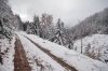 Filename=K25-4KrGora-33.jpg
Filesize=184KiB
Dimensions=800x533
Date added=Jan 22, 2011 K25-4KrGora-33.jpg