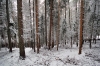 Filename=K26-4KrGora-38.jpg
Filesize=238KiB
Dimensions=800x533
Date added=Jan 22, 2011 K26-4KrGora-38.jpg