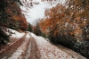 Filename=K28-4KrGora-43.jpg
Filesize=234KiB
Dimensions=800x533
Date added=Jan 22, 2011 K28-4KrGora-43.jpg