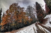 Filename=K34-4KrGora-70-Hpm.jpg
Filesize=196KiB
Dimensions=800x533
Date added=Jan 22, 2011 K34-4KrGora-70-Hpm.jpg