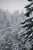 Filename=K35-4KrGora-92.jpg
Filesize=172KiB
Dimensions=480x720
Date added=Jan 22, 2011 K35-4KrGora-92.jpg