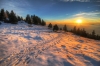 Filename=K16-Kriska-074-Hpm.jpg
Filesize=207KiB
Dimensions=800x533
Date added=Jan 17, 2011 K16-Kriska-074-Hpm.jpg