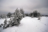 Filename=S01-Slivnica-02.jpg
Filesize=141KiB
Dimensions=800x533
Date added=Jan 31, 2011 S01-Slivnica-02.jpg