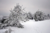 Filename=S03-Slivnica-12.jpg
Filesize=155KiB
Dimensions=800x533
Date added=Jan 31, 2011 S03-Slivnica-12.jpg