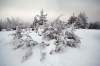 Filename=S04-Slivnica-21.jpg
Filesize=126KiB
Dimensions=800x533
Date added=Jan 31, 2011 S04-Slivnica-21.jpg