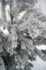 Filename=S05-Slivnica-25.jpg
Filesize=180KiB
Dimensions=480x720
Date added=Jan 31, 2011 S05-Slivnica-25.jpg