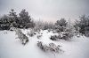 Filename=S06-Slivnica-30.jpg
Filesize=125KiB
Dimensions=800x533
Date added=Jan 31, 2011 S06-Slivnica-30.jpg