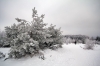 Filename=S07-Slivnica-31.jpg
Filesize=150KiB
Dimensions=800x533
Date added=Jan 31, 2011 S07-Slivnica-31.jpg