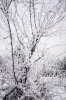 Filename=S08-Slivnica-34.jpg
Filesize=174KiB
Dimensions=480x720
Date added=Jan 31, 2011 S08-Slivnica-34.jpg