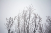 Filename=S09-Slivnica-38.jpg
Filesize=166KiB
Dimensions=800x533
Date added=Jan 31, 2011 S09-Slivnica-38.jpg