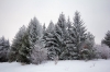Filename=S11-Slivnica-42.jpg
Filesize=174KiB
Dimensions=800x533
Date added=Jan 31, 2011 S11-Slivnica-42.jpg