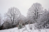 Filename=S12-Slivnica-48.jpg
Filesize=189KiB
Dimensions=800x533
Date added=Jan 31, 2011 S12-Slivnica-48.jpg