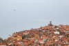 Filename=O03-1Piran-22.jpg
Filesize=154KiB
Dimensions=800x533
Date added=Feb 15, 2011 O03-1Piran-22.jpg