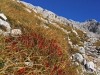Filename=T38-Triglav2-36.jpg
Filesize=206KiB
Dimensions=640x480
Date added=Jan 11, 2007 T38-Triglav2-36.jpg