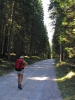 Filename=T42-Triglav2-61.jpg
Filesize=188KiB
Dimensions=480x640
Date added=Jan 11, 2007 T42-Triglav2-61.jpg