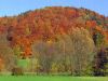 2003-11-03-WE-FallColors-35-2.jpg