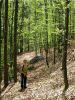 Filename=40423-Senturska-57-WE.jpg
Filesize=174KiB
Dimensions=480x640
Date added=Jul 25, 2004 40423-Senturska-57-WE.jpg