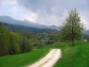 Filename=40423-Senturska-67-WE.jpg
Filesize=117KiB
Dimensions=640x480
Date added=Jul 25, 2004 40423-Senturska-67-WE.jpg