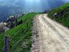 Filename=40501-MackinKot-22-WE.jpg
Filesize=259KiB
Dimensions=800x600
Date added=Jul 25, 2004 40501-MackinKot-22-WE.jpg