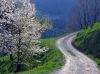 Filename=40501-MackinKot-47-WE.jpg
Filesize=300KiB
Dimensions=800x598
Date added=Jul 25, 2004 40501-MackinKot-47-WE.jpg
