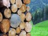 Filename=40501-MackinKot-60-WE.jpg
Filesize=263KiB
Dimensions=800x600
Date added=Jul 25, 2004 40501-MackinKot-60-WE.jpg