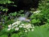 Filename=40606-KamnBist-37-WE.jpg
Filesize=162KiB
Dimensions=640x480
Date added=Jul 25, 2004 40606-KamnBist-37-WE.jpg