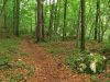Filename=40606-KamnBist-84-WE.jpg
Filesize=176KiB
Dimensions=640x480
Date added=Jul 25, 2004 40606-KamnBist-84-WE.jpg