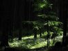 Filename=40822-Jezersko-005-WE.jpg
Filesize=92KiB
Dimensions=640x480
Date added=Aug 28, 2004 40822-Jezersko-005-WE.jpg