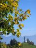 Filename=41005-Jamnik-27-W.jpg
Filesize=116KiB
Dimensions=480x640
Date added=Oct 06, 2004 41005-Jamnik-27-W.jpg