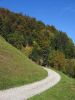 Filename=41005-Jamnik-37-W.jpg
Filesize=114KiB
Dimensions=480x640
Date added=Oct 06, 2004 41005-Jamnik-37-W.jpg