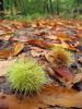 Filename=Jance-05.jpg
Filesize=101KiB
Dimensions=480x640
Date added=Oct 10, 2004 Jance-05.jpg