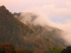 Filename=Zale-03.jpg
Filesize=70KiB
Dimensions=640x480
Date added=Oct 22, 2004 Zale-03.jpg