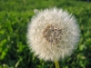 Filename=Zalog-04.jpg
Filesize=76KiB
Dimensions=640x480
Date added=Oct 19, 2004 Zalog-04.jpg