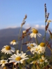 Filename=Zalog-09.jpg
Filesize=71KiB
Dimensions=480x640
Date added=Oct 19, 2004 Zalog-09.jpg