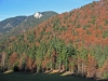 Filename=01-Storzic-003.jpg
Filesize=188KiB
Dimensions=800x600
Date added=Nov 16, 2005 01-Storzic-003.jpg