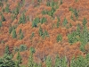 Filename=02-Storzic-002.jpg
Filesize=220KiB
Dimensions=800x600
Date added=Nov 16, 2005 02-Storzic-002.jpg