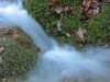 Filename=16-Storzic-079.jpg
Filesize=155KiB
Dimensions=800x600
Date added=Nov 16, 2005 16-Storzic-079.jpg