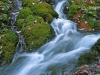 Filename=20-Storzic-104.jpg
Filesize=179KiB
Dimensions=800x600
Date added=Nov 16, 2005 20-Storzic-104.jpg