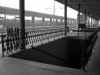 Filename=22-Jesenice-116-WBW.jpg
Filesize=144KiB
Dimensions=800x600
Date added=Nov 14, 2005 22-Jesenice-116-WBW.jpg
